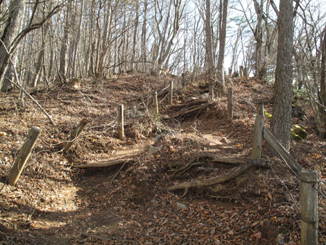 20171116hike (147)